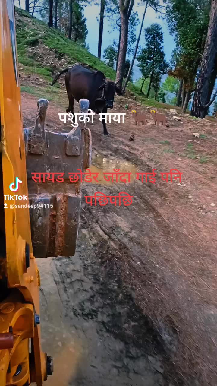 @sandeep khadka 94116