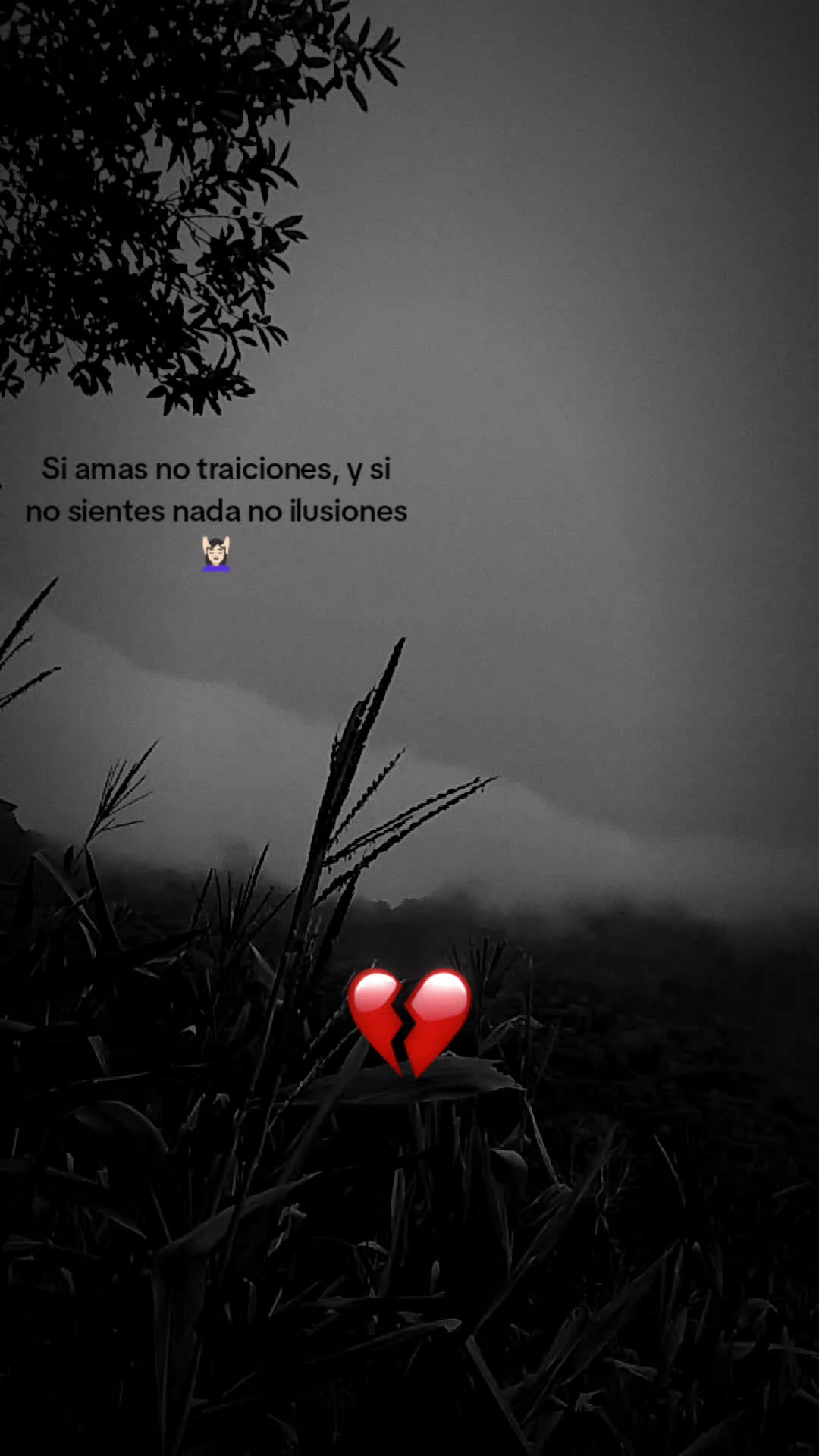 @Adriana G&oacute;mez Roblero