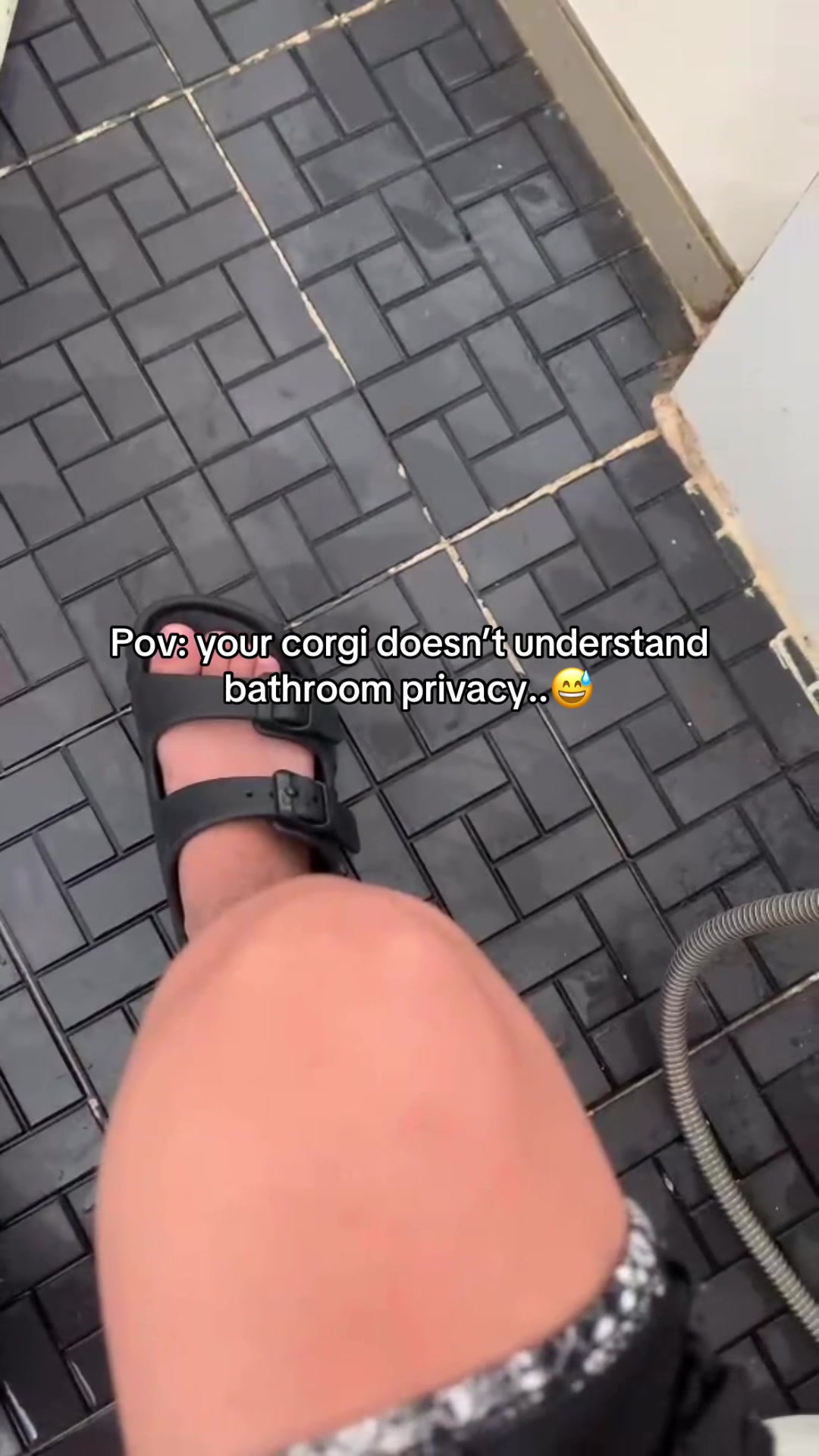 @Pam