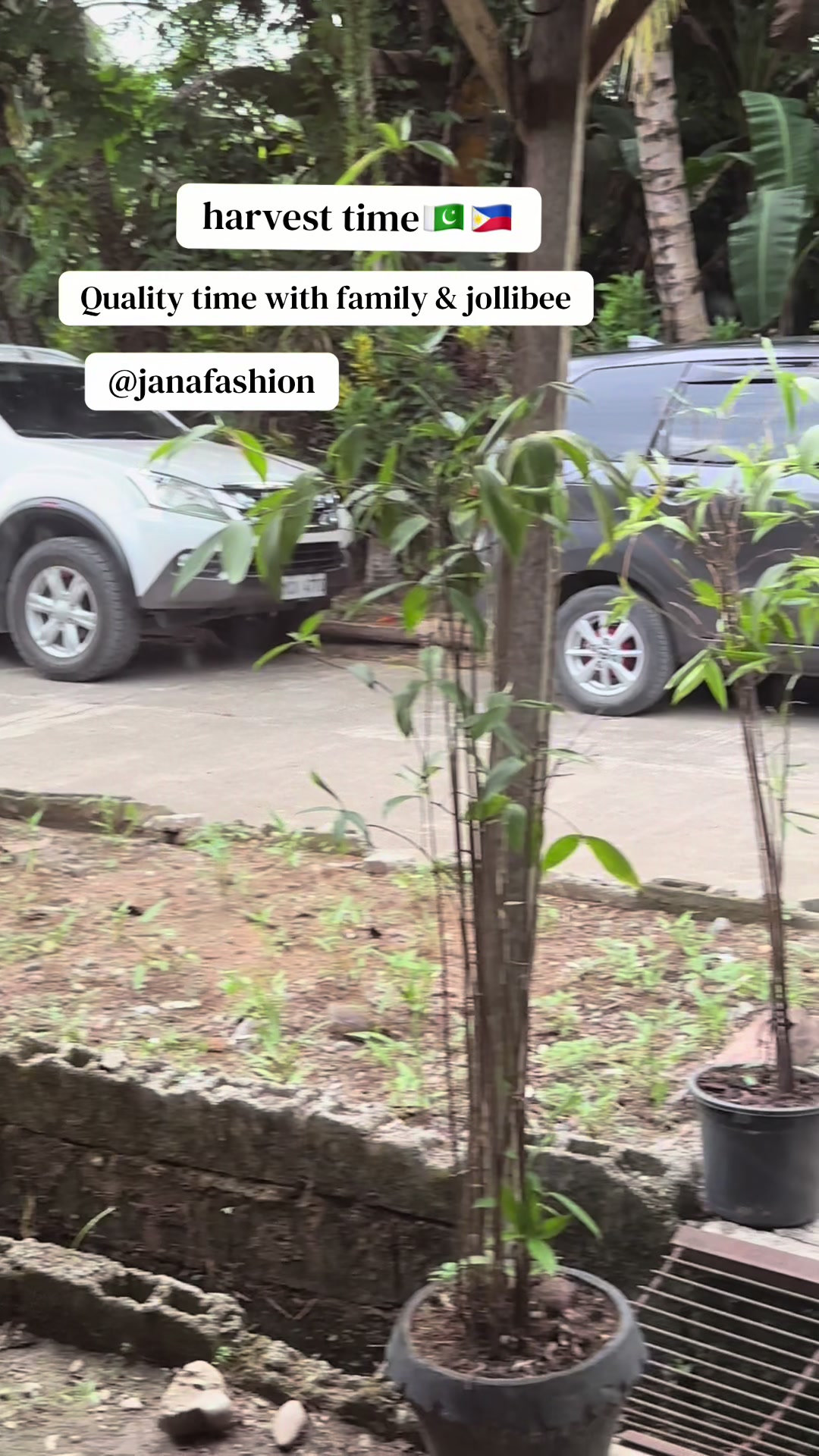 @Janafashion_official8.pk🇵🇰