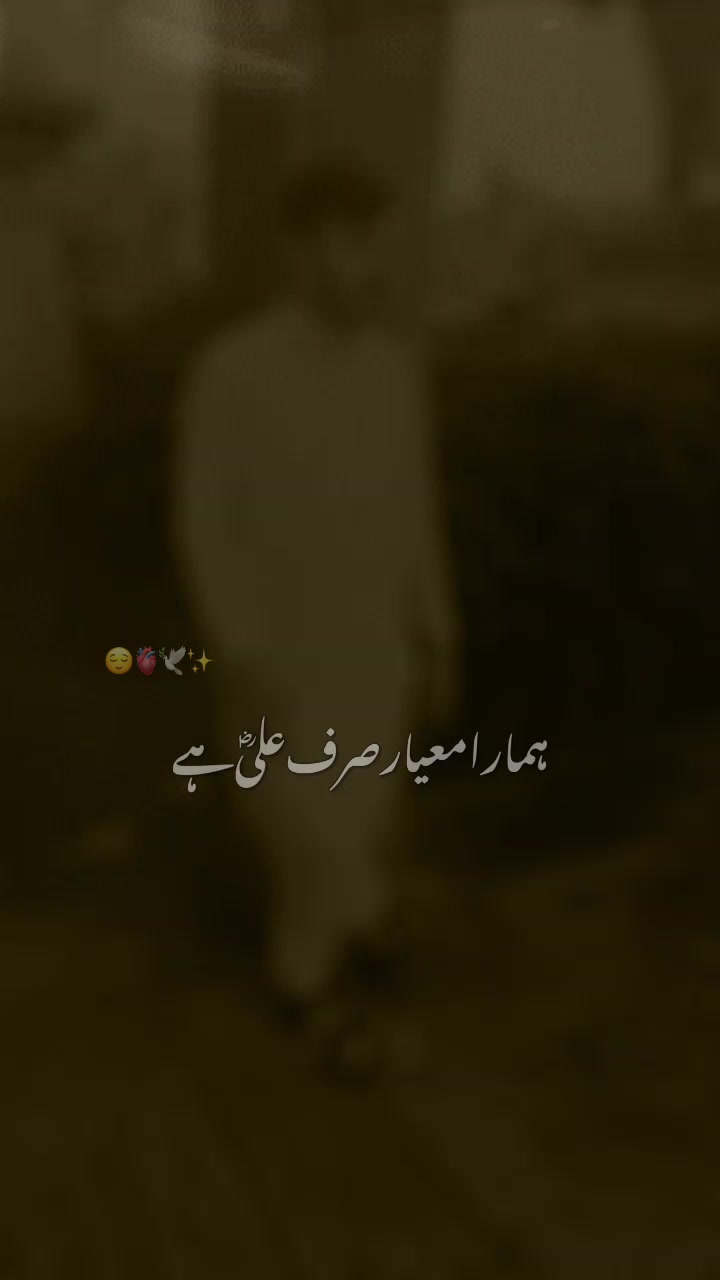 @TAYYAB BHATTI✅