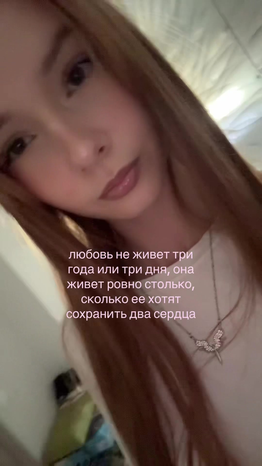 @wmshvixx