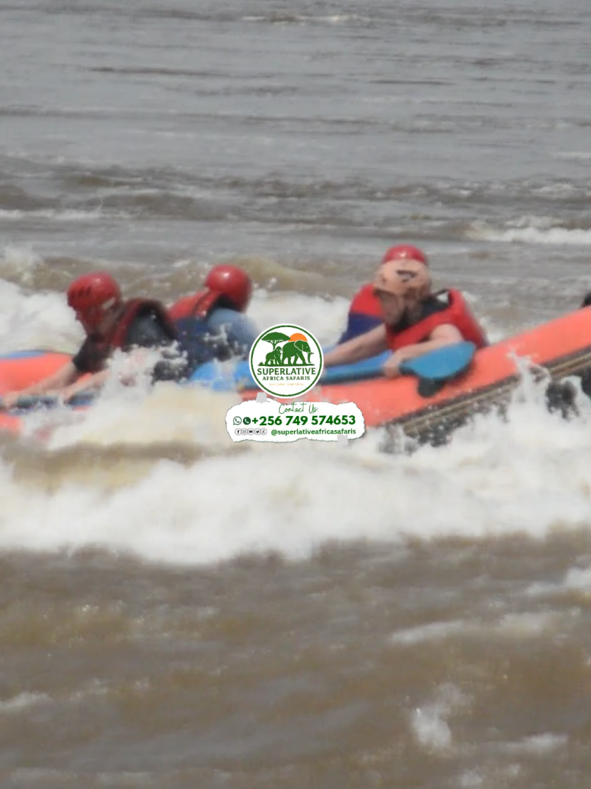 @Superlative Africa Safaris