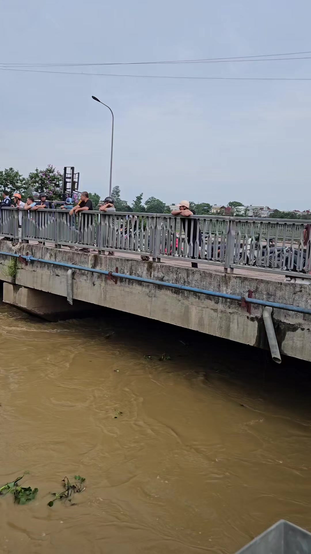 @Dũng Nguyễn Fishing