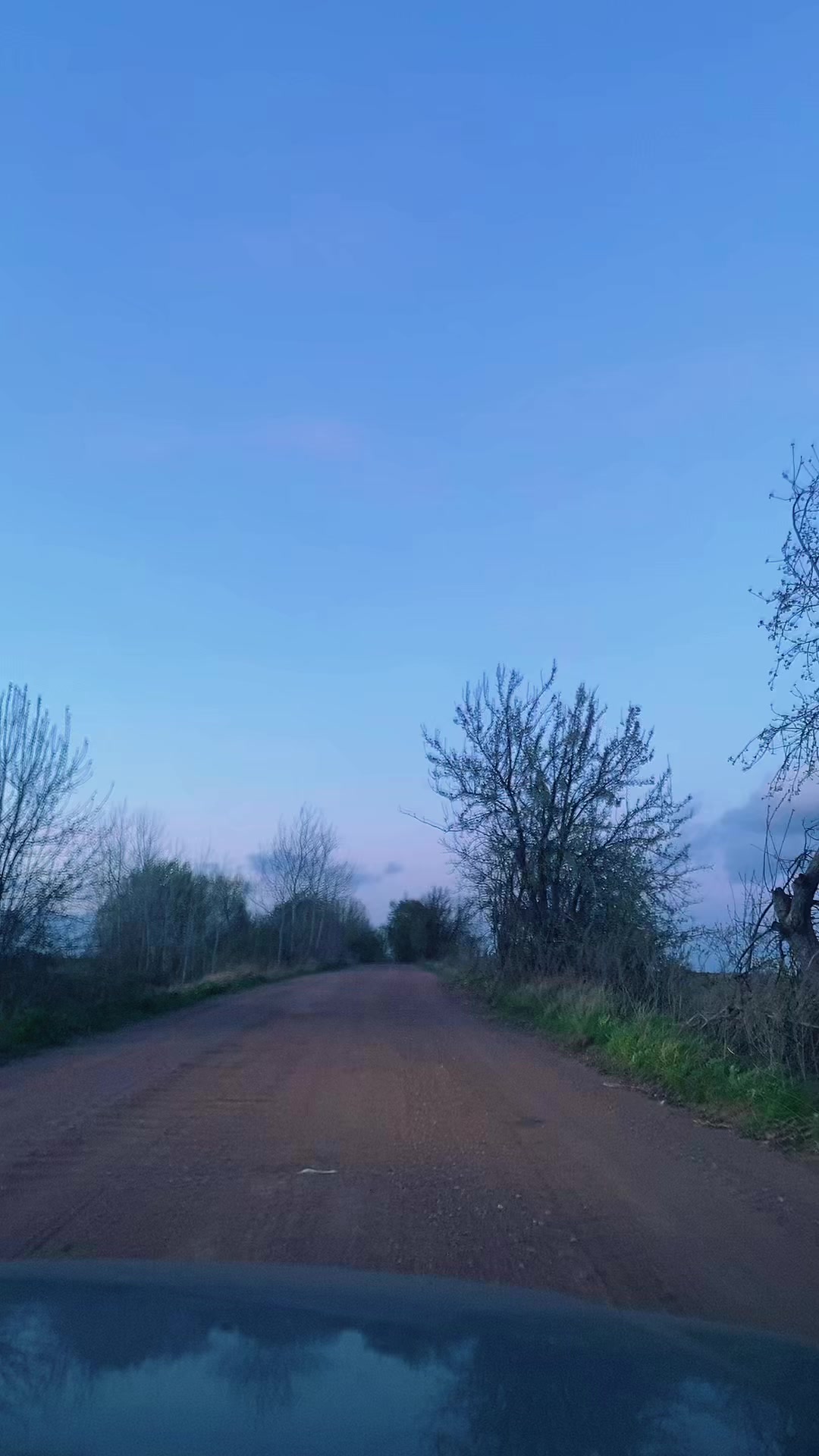 @Відьма 🐦&zwj;🔥