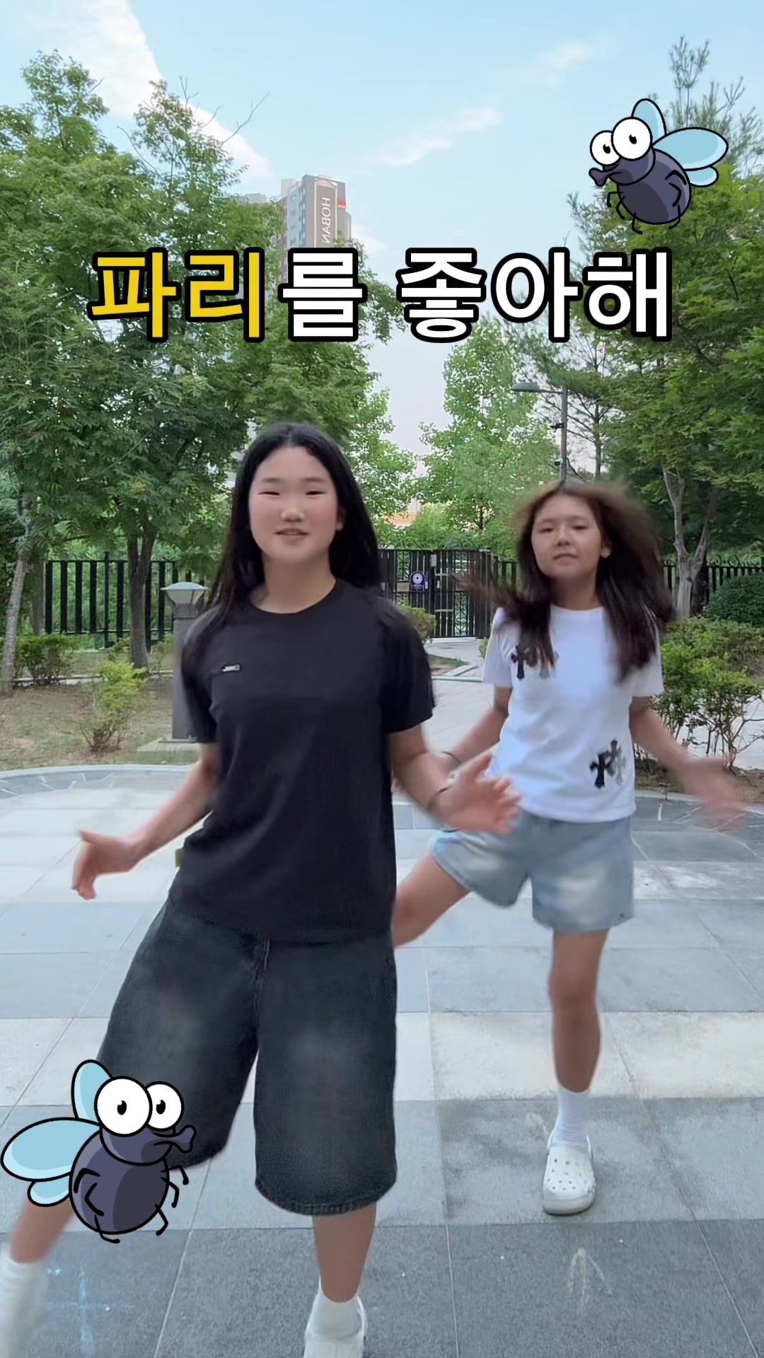 @왜요쌤