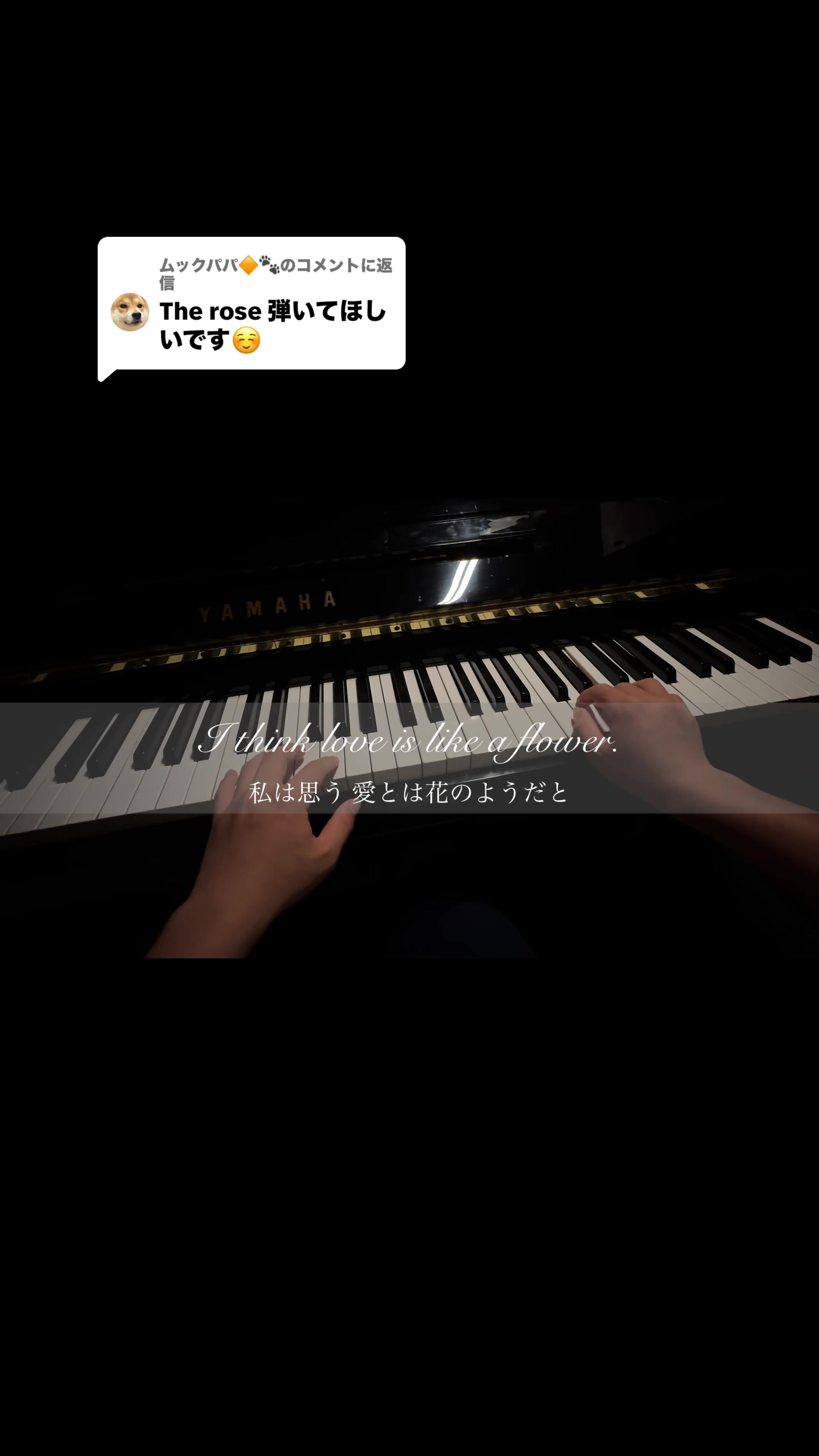 @かーちゃん🎹