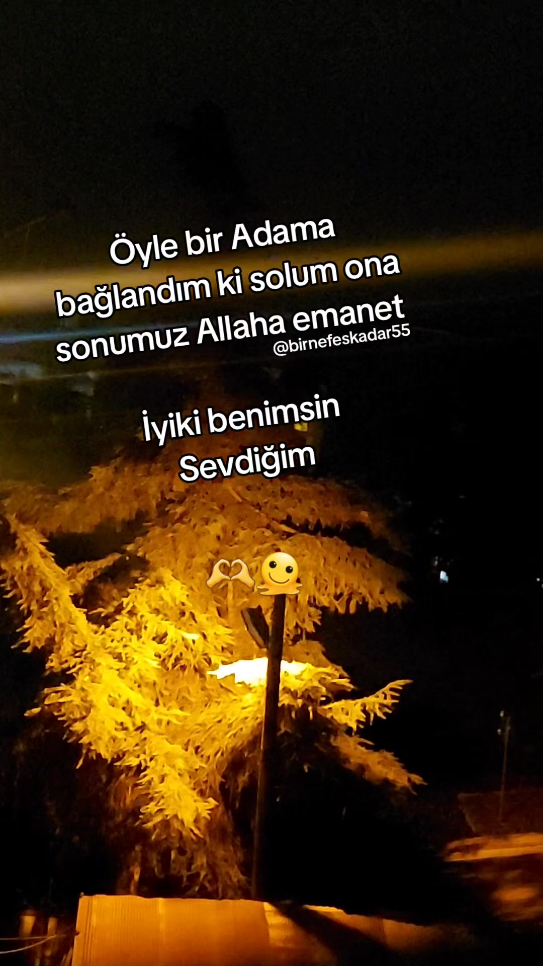 @birnefeskadar55