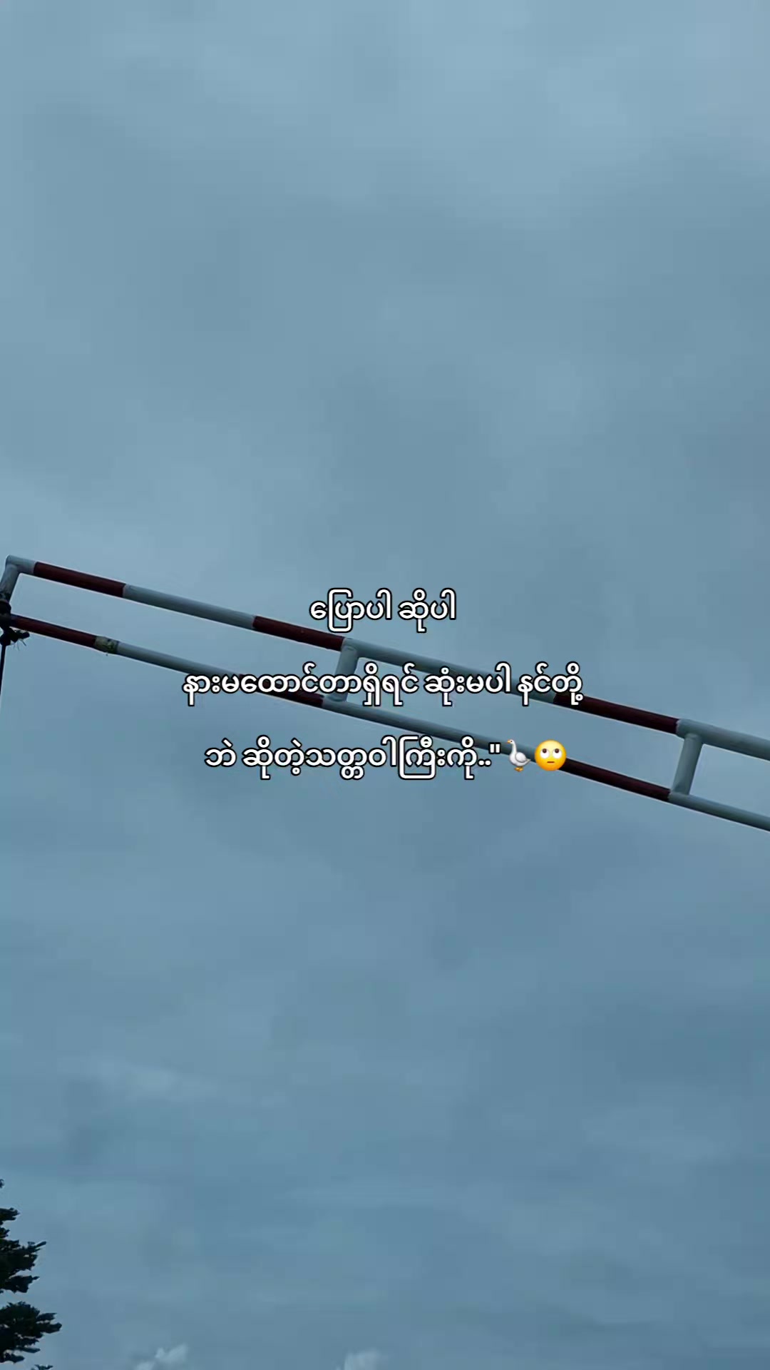 @𝐇𝐚𝐧