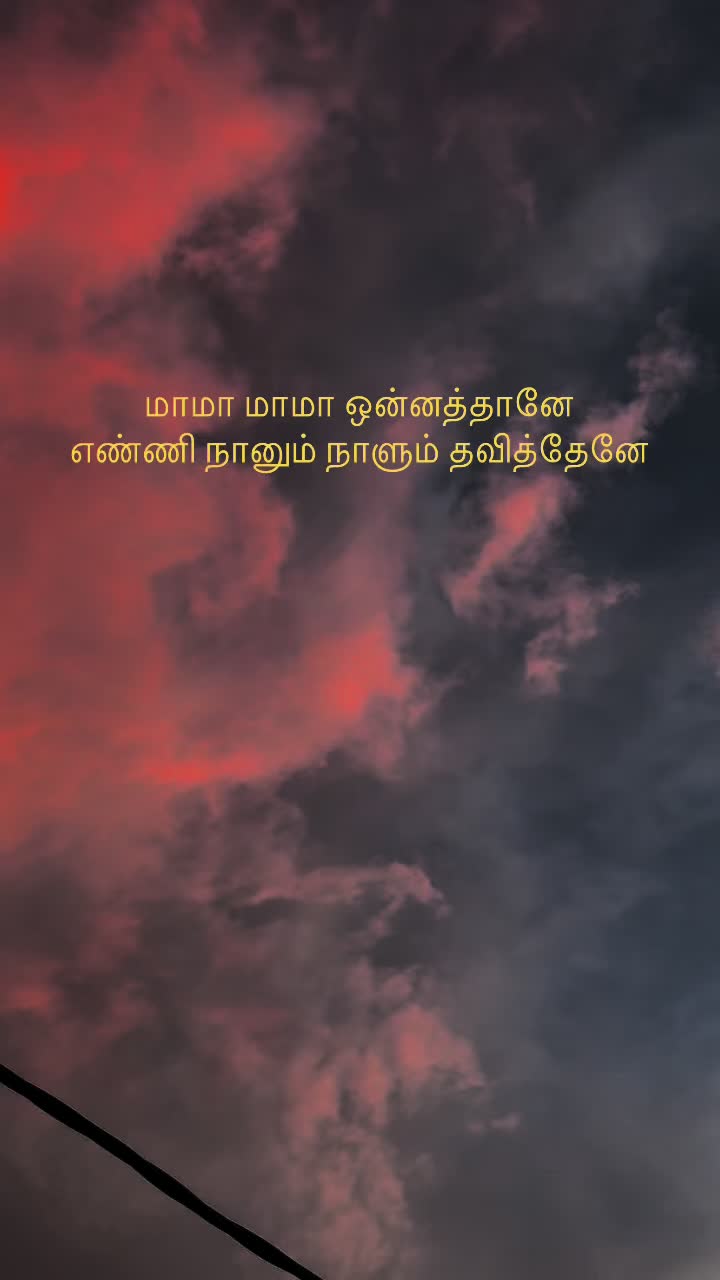 @ѕυηѕнιηє✨