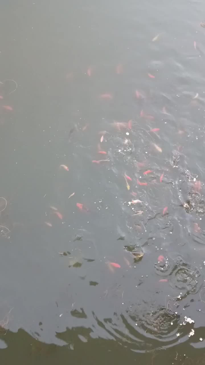 @СЕРГЕЕВНА