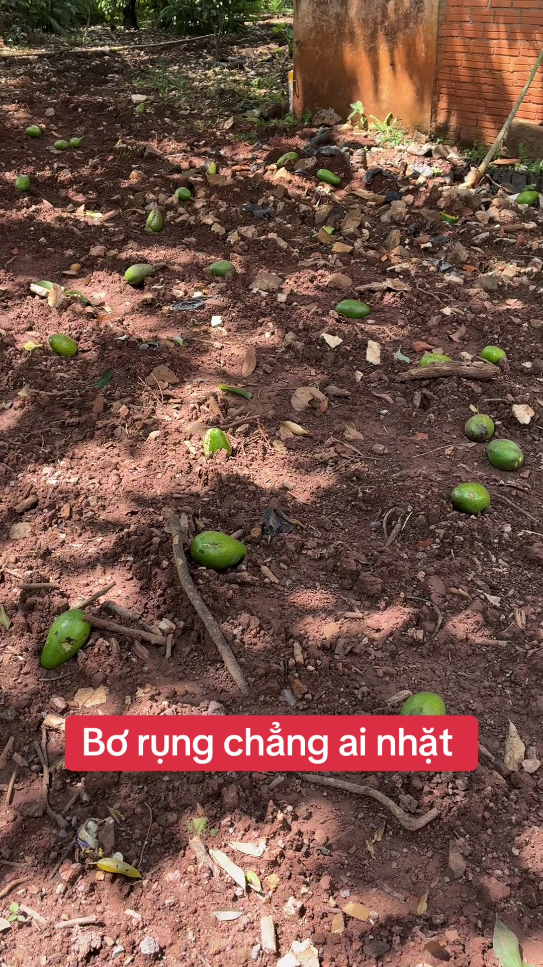 @Minh Du