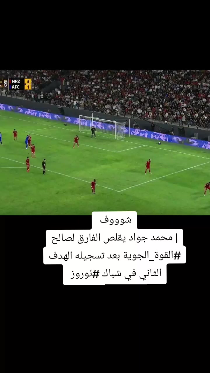 @ملعب البصرة جذع نخلة