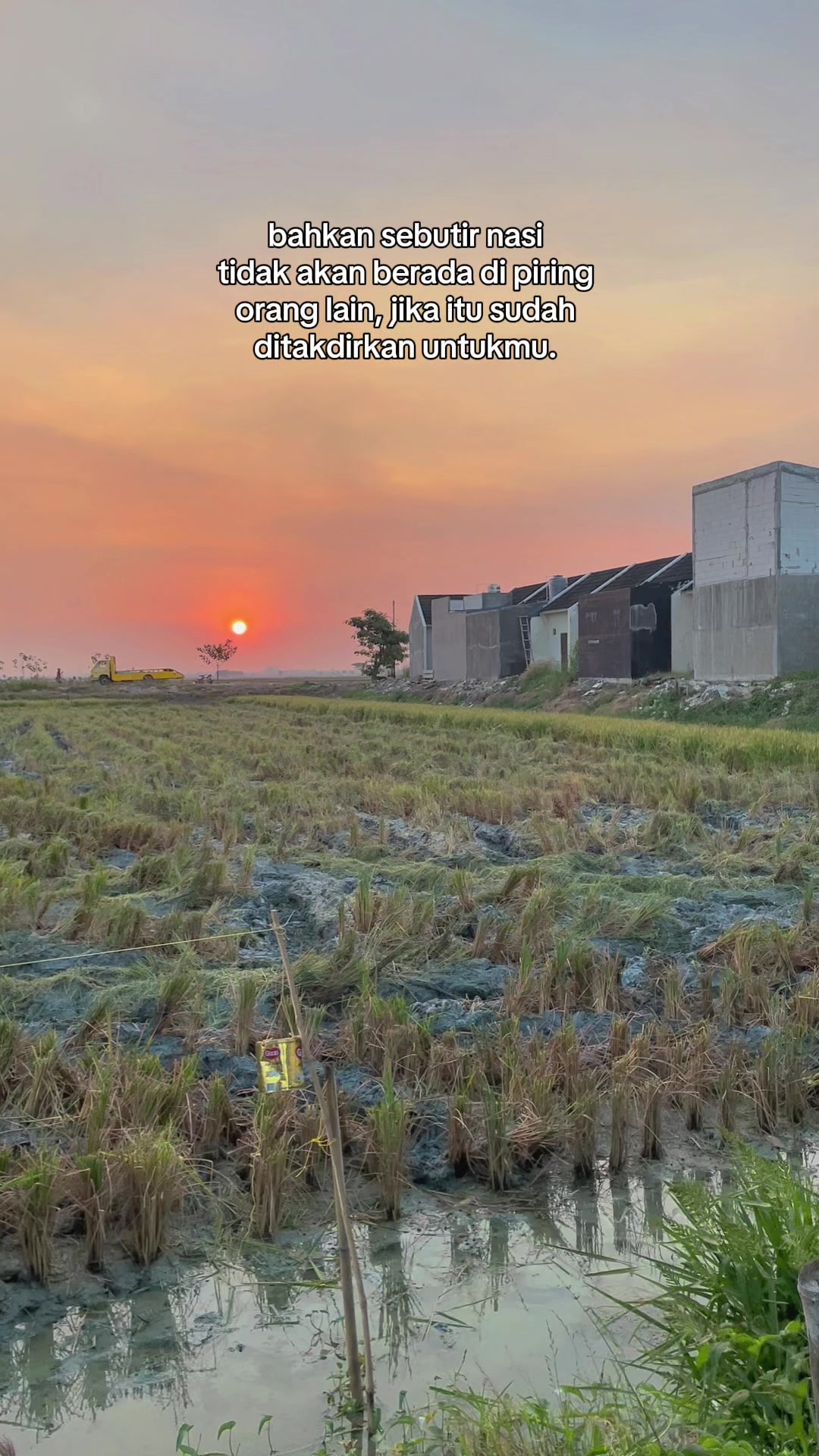 @CC Farm