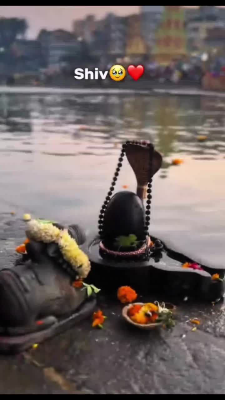@✨❤️MAHADEV ka deewana 📿🙇🏻