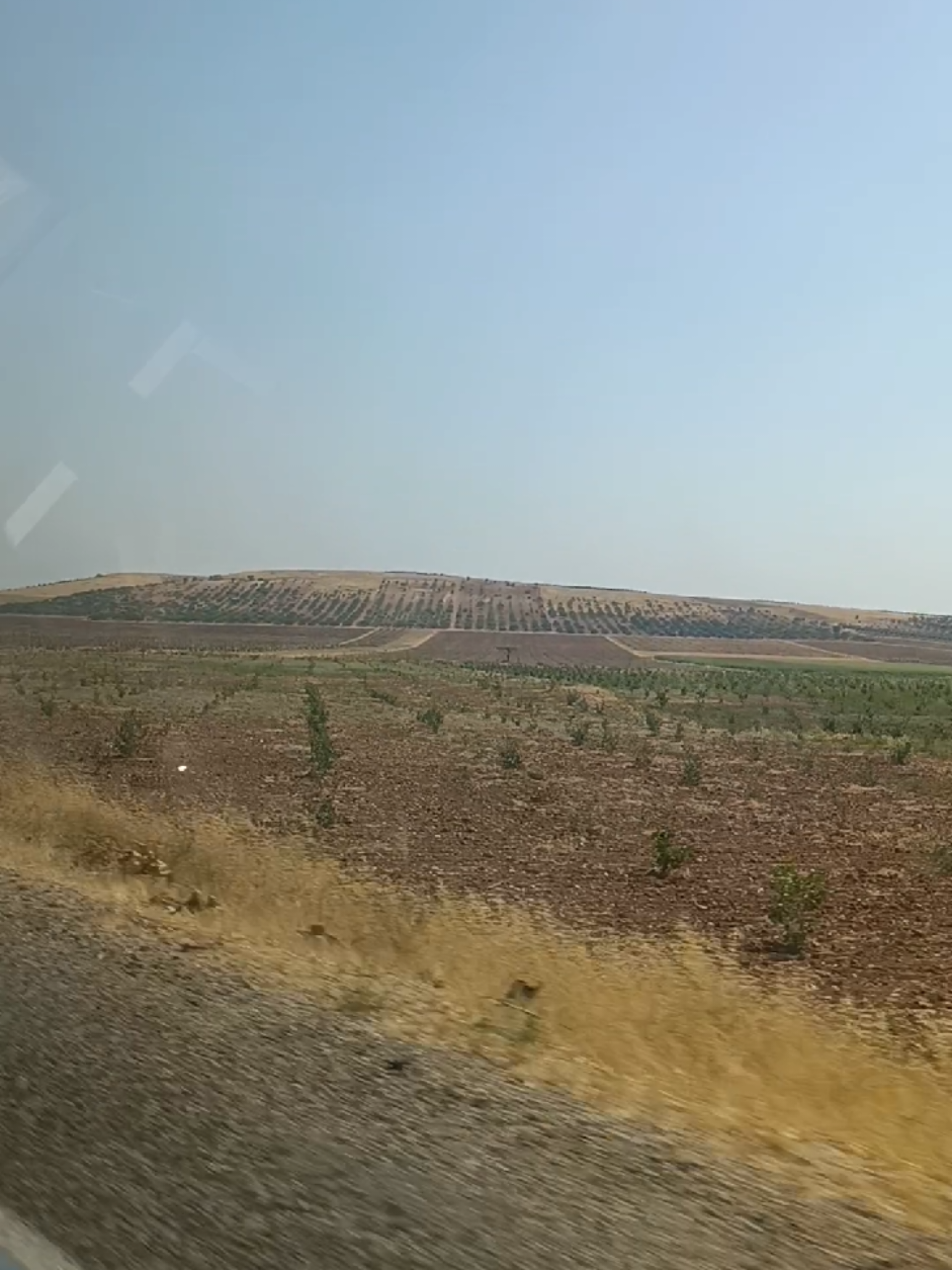 @zemzem arıcı