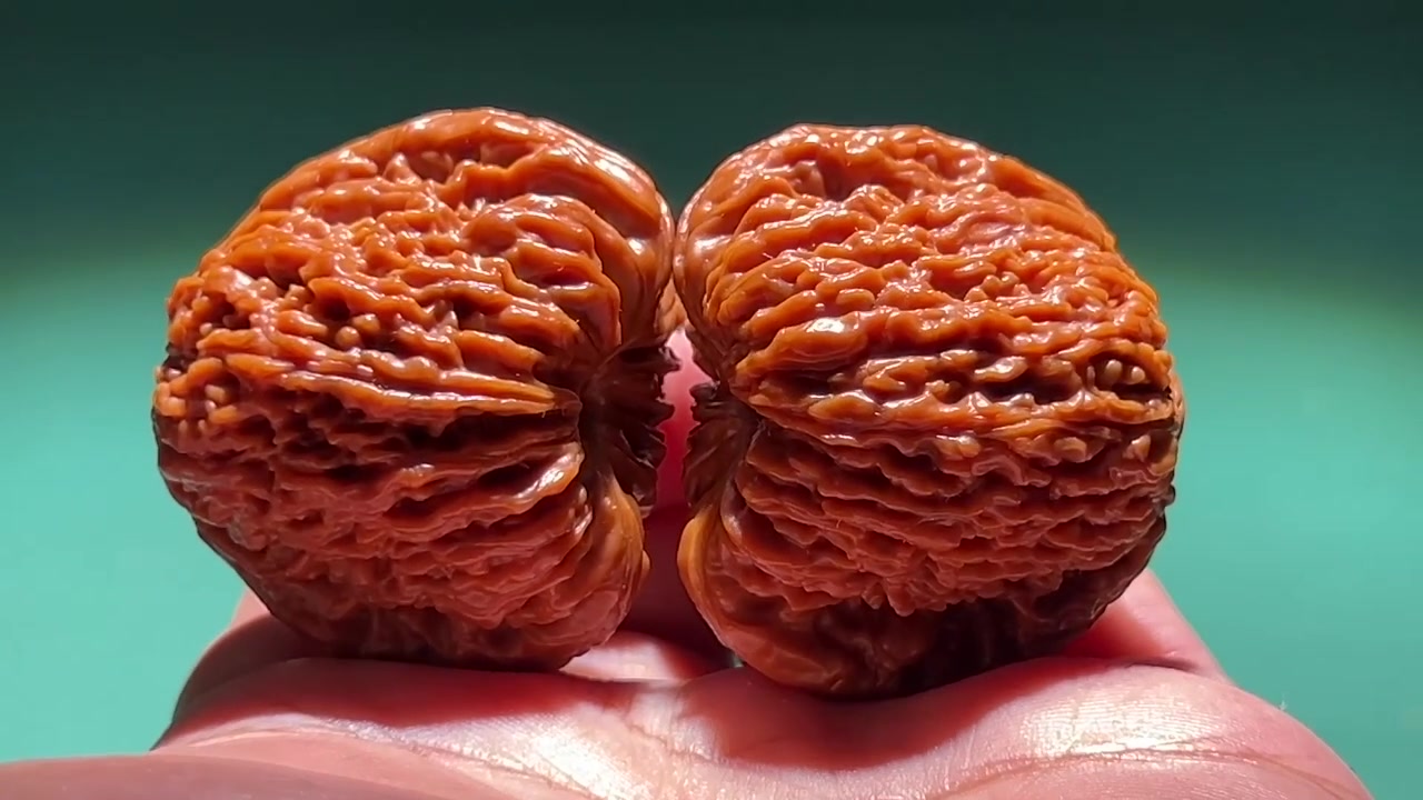 @GẤU HỒ Đ&Agrave;O