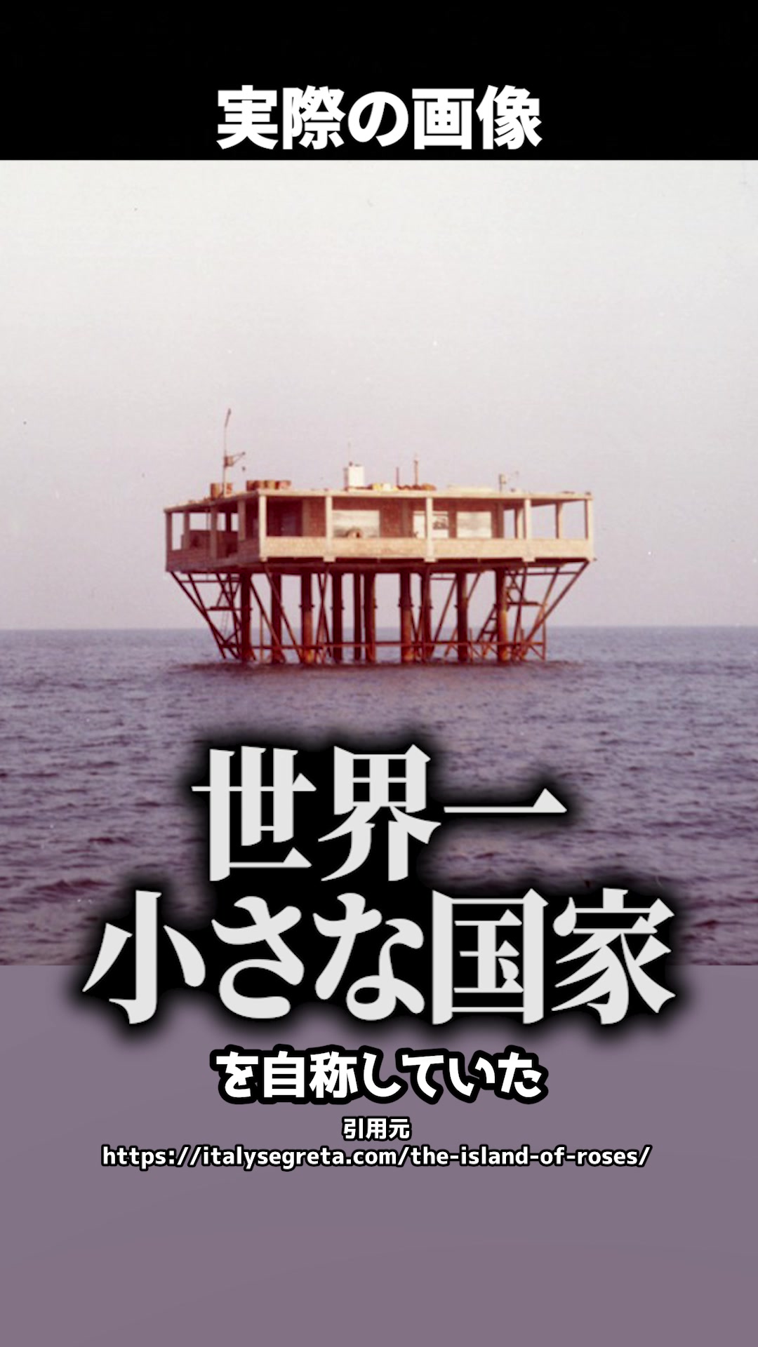 @岡野タケシ弁護士【アトム法律グループ】