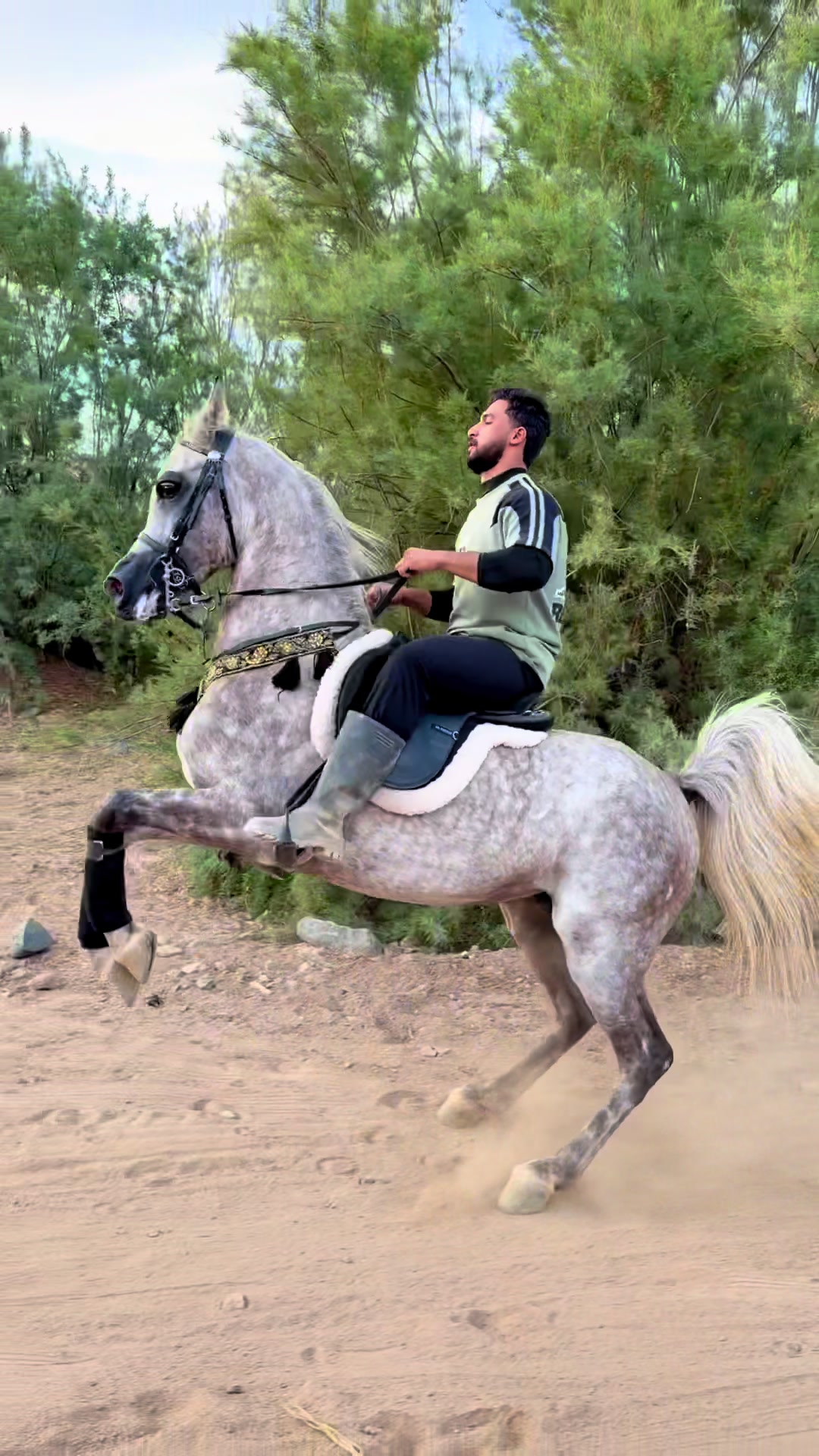@بـاسـل الـوادعـي⭐️🐎