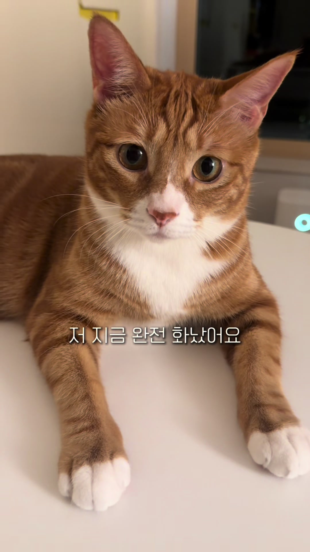 @뮤춘삼
