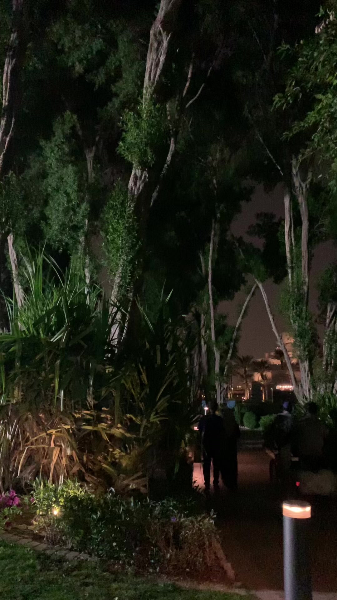 @Yasir Jutt