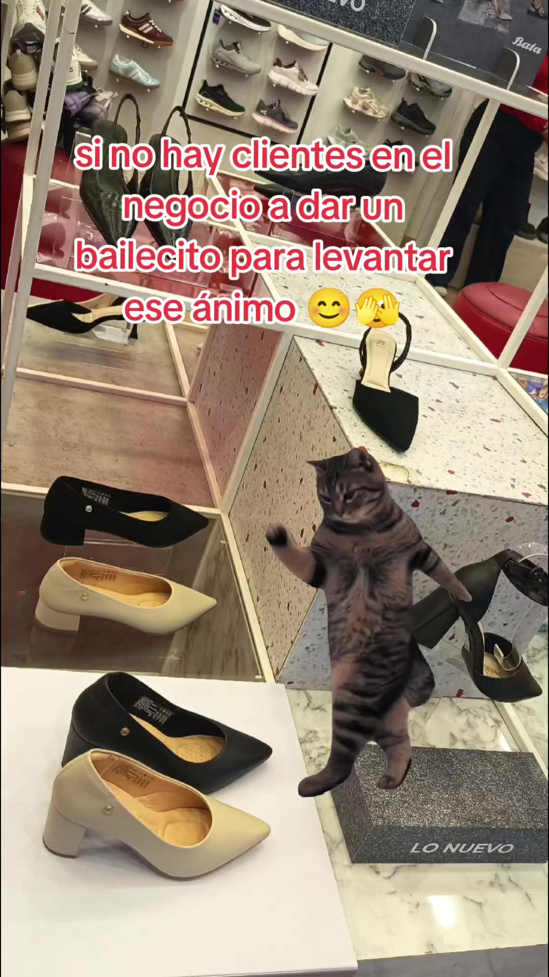 @🦋🍃Katy Sánchez🍃🦋