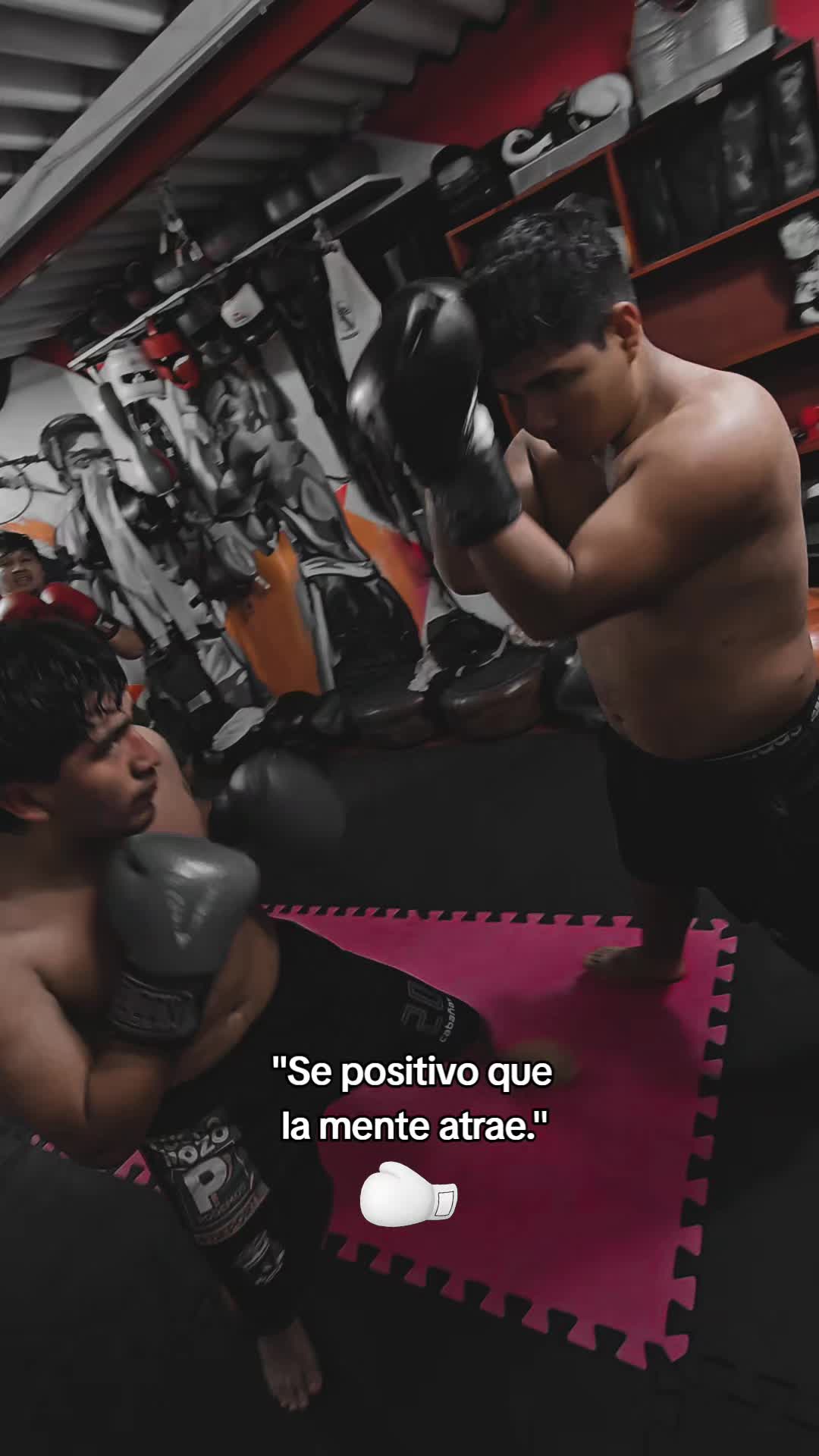@EL DON K.O.🥊