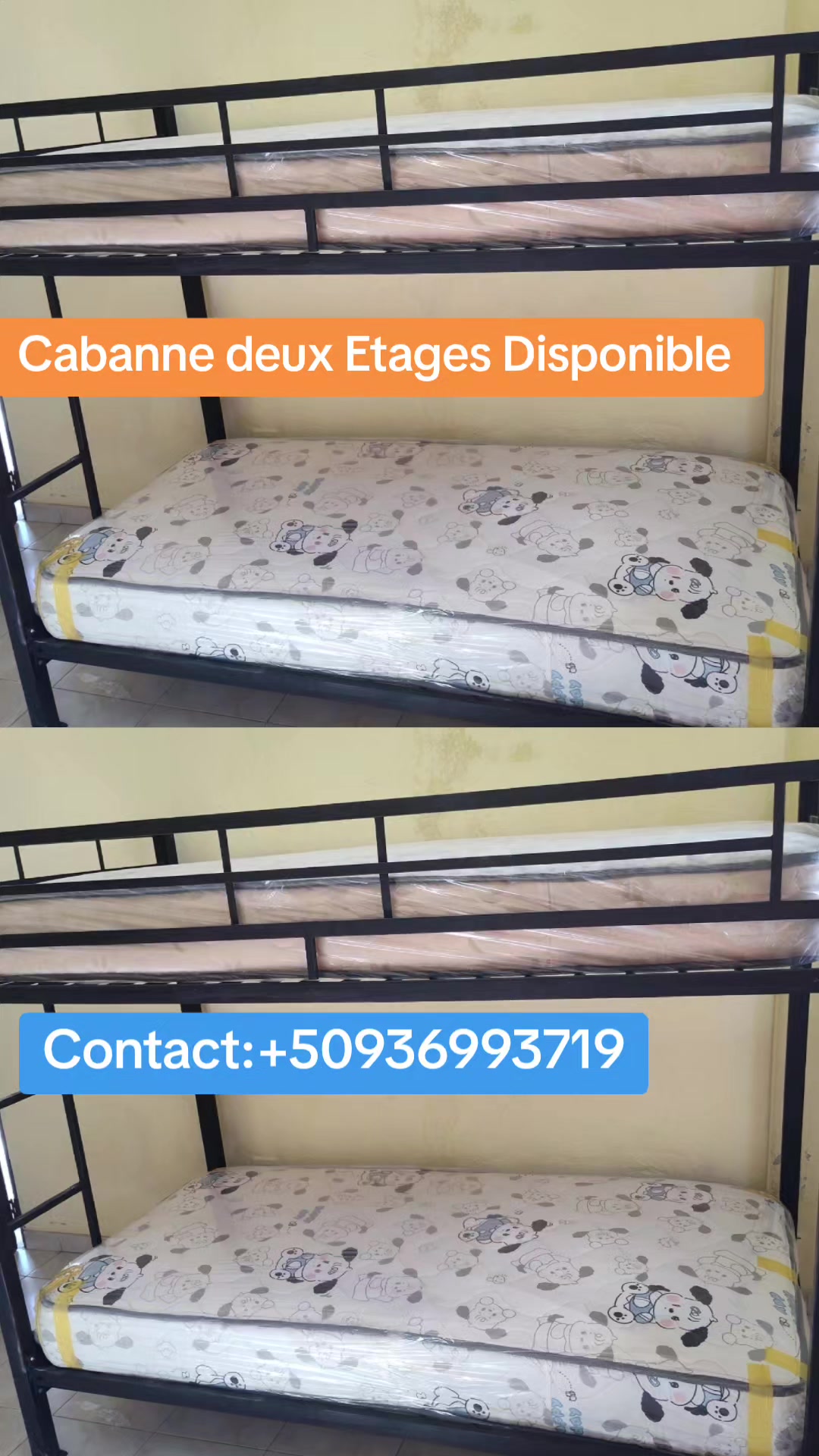 @immaculée meuble