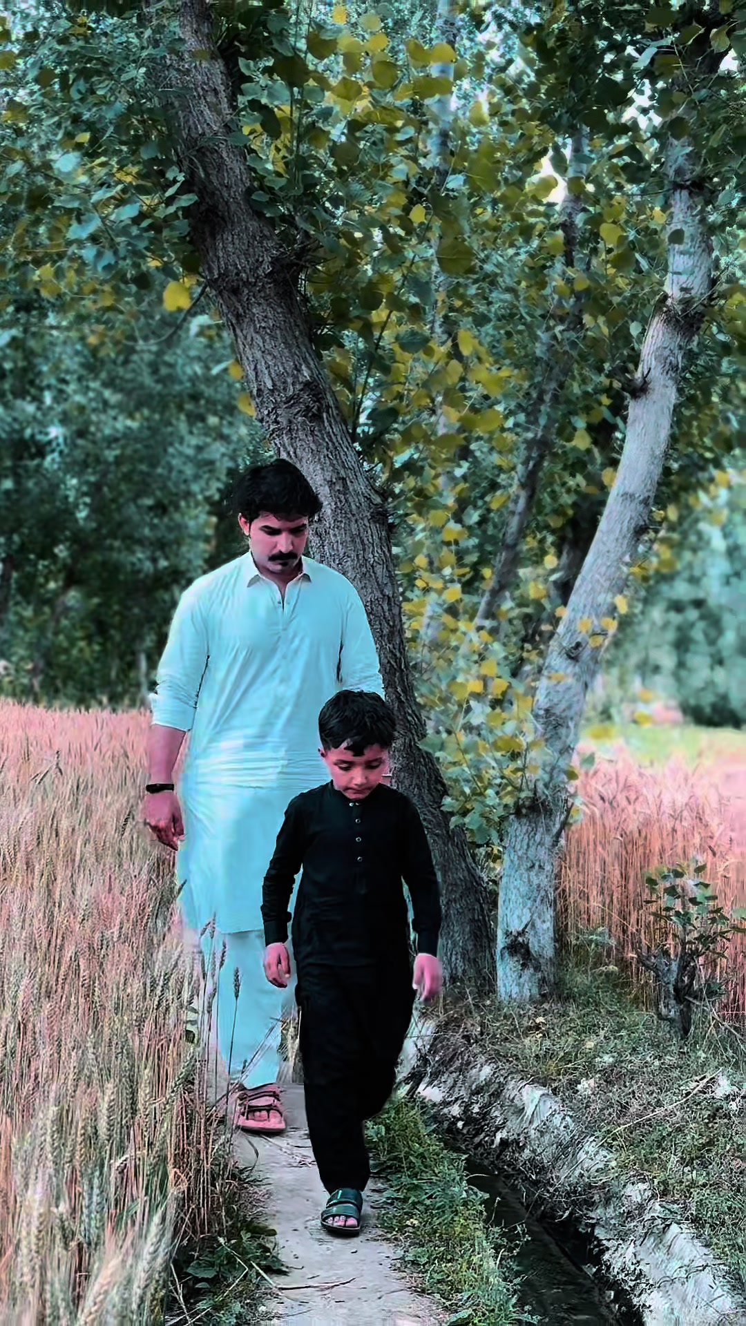 @Farman Sahil 🖤