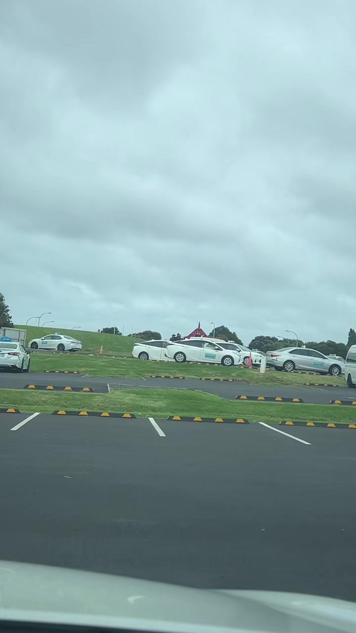 @Auckland wale