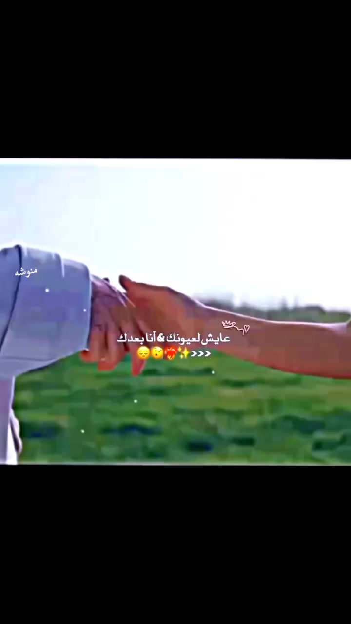 @الشامي - Al shami 🔮