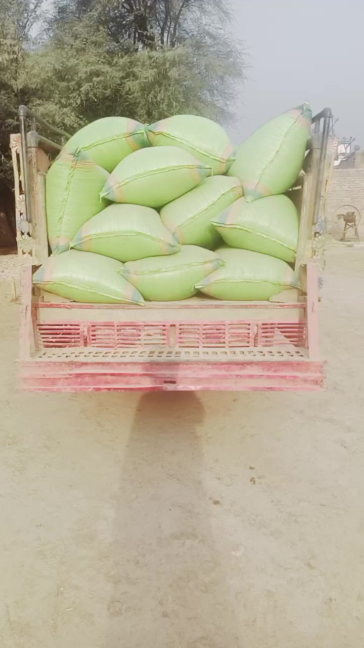 @Ali Murad Bugti