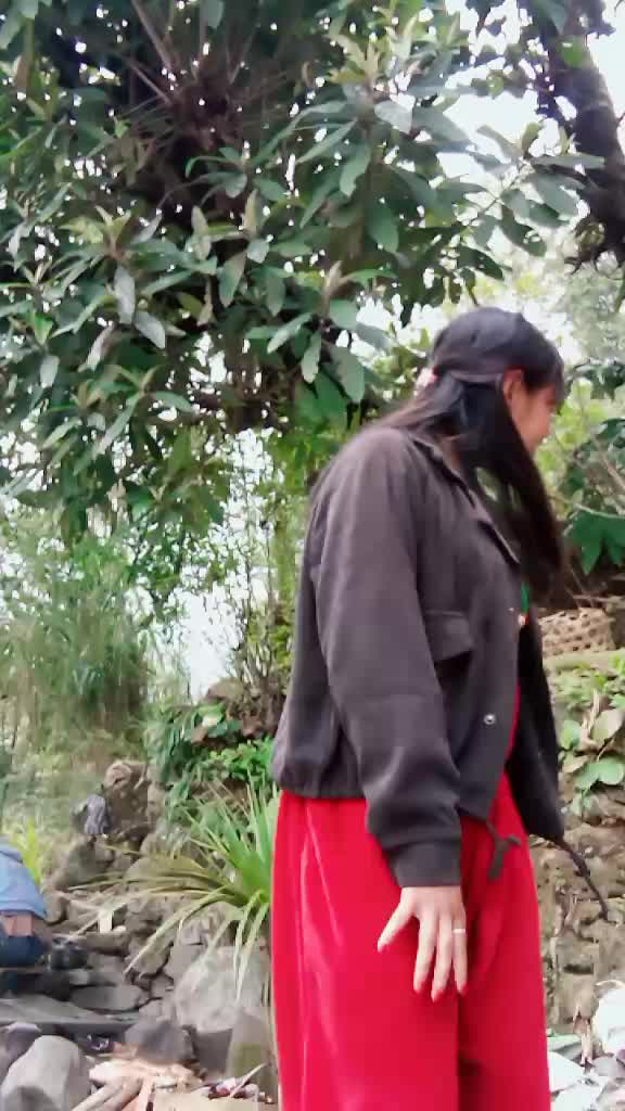 @limbunikanxi231