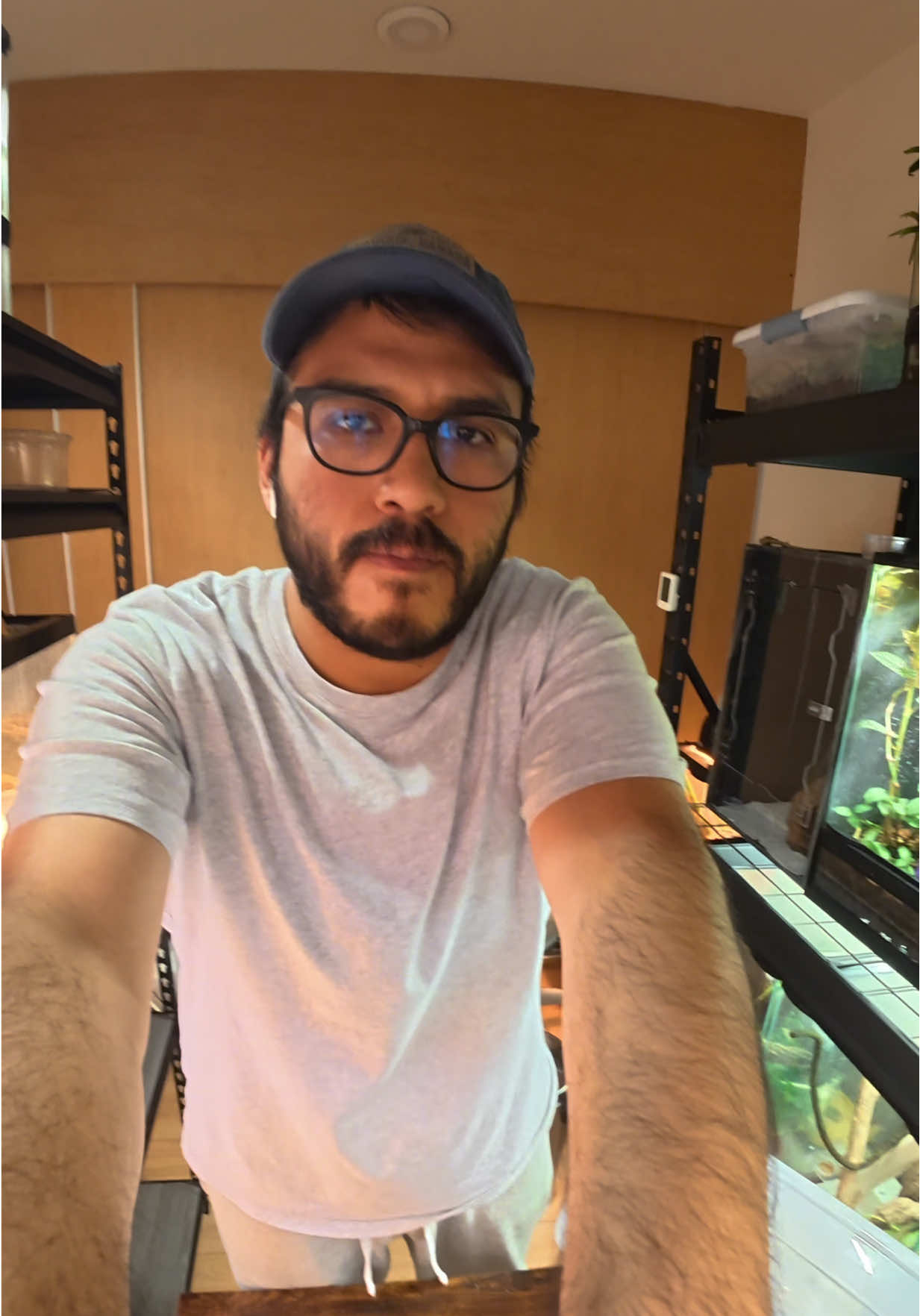 @Reptile Source