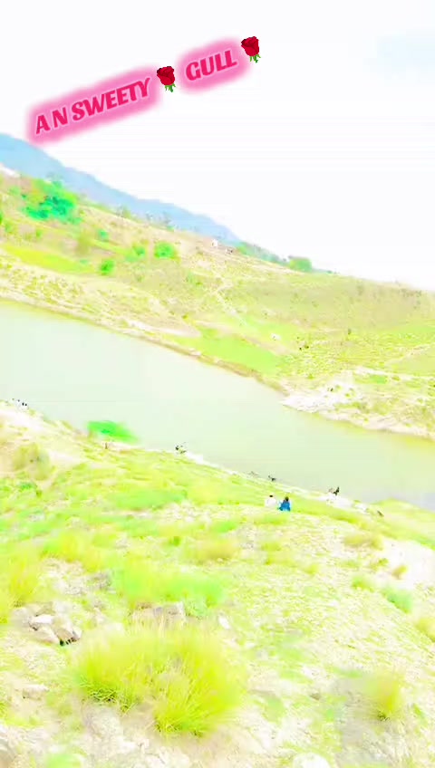 @A❤️N SWEETY 💕 GULL