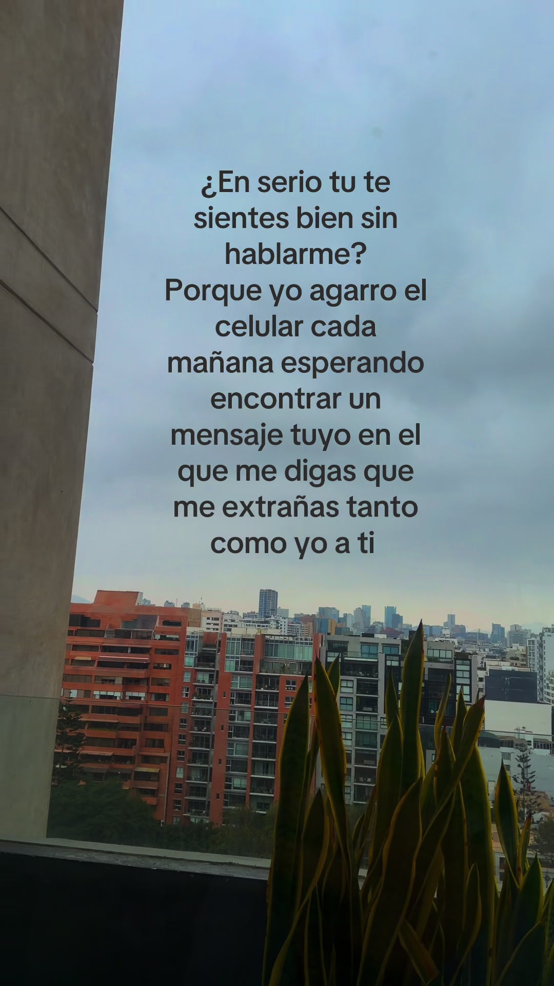 @Camil🦋