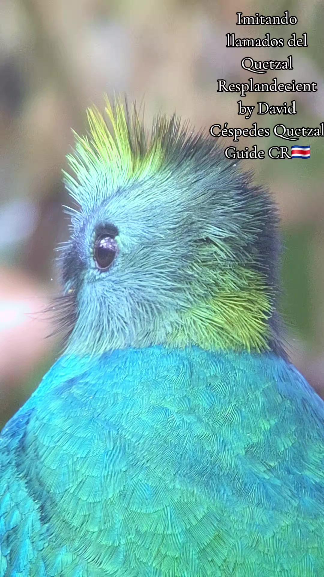 @Quetzal Tours CR🇨🇷