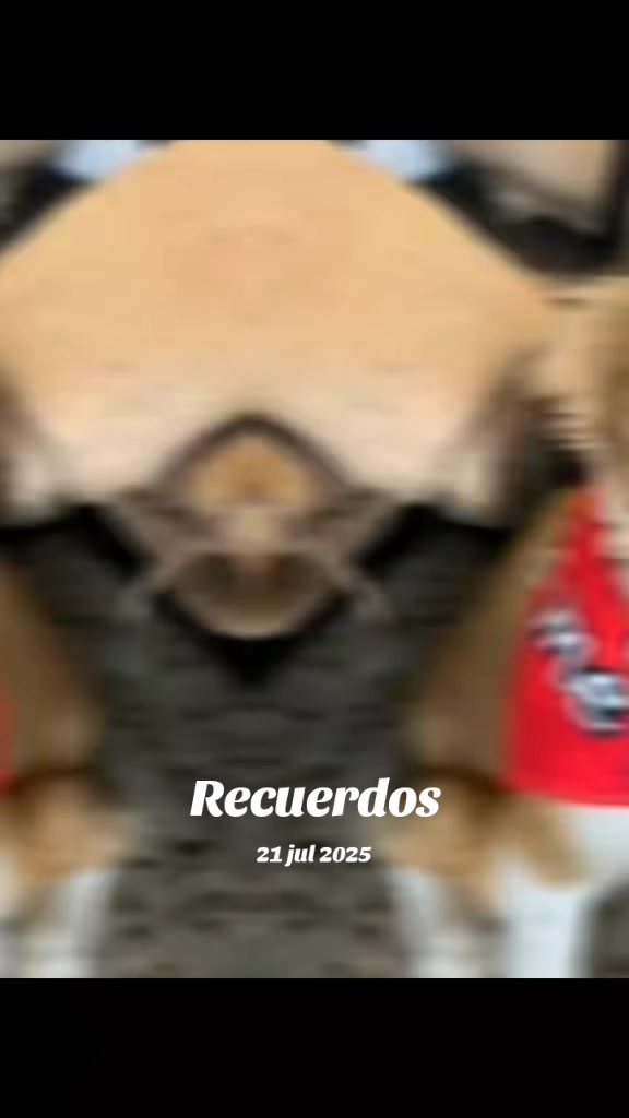 @Dulce Lopez2649