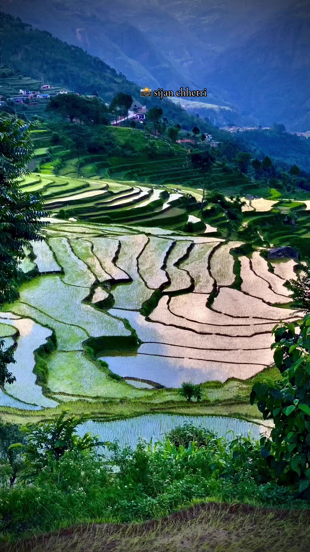 @Sijan Chhetri
