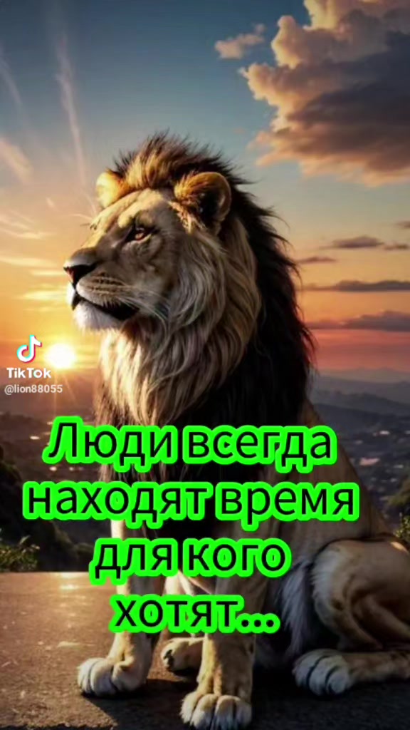 @༼ つ ◕_◕ ༽つ🇧🇾😈🅚🅞🅣🅘🅚🇧🇾