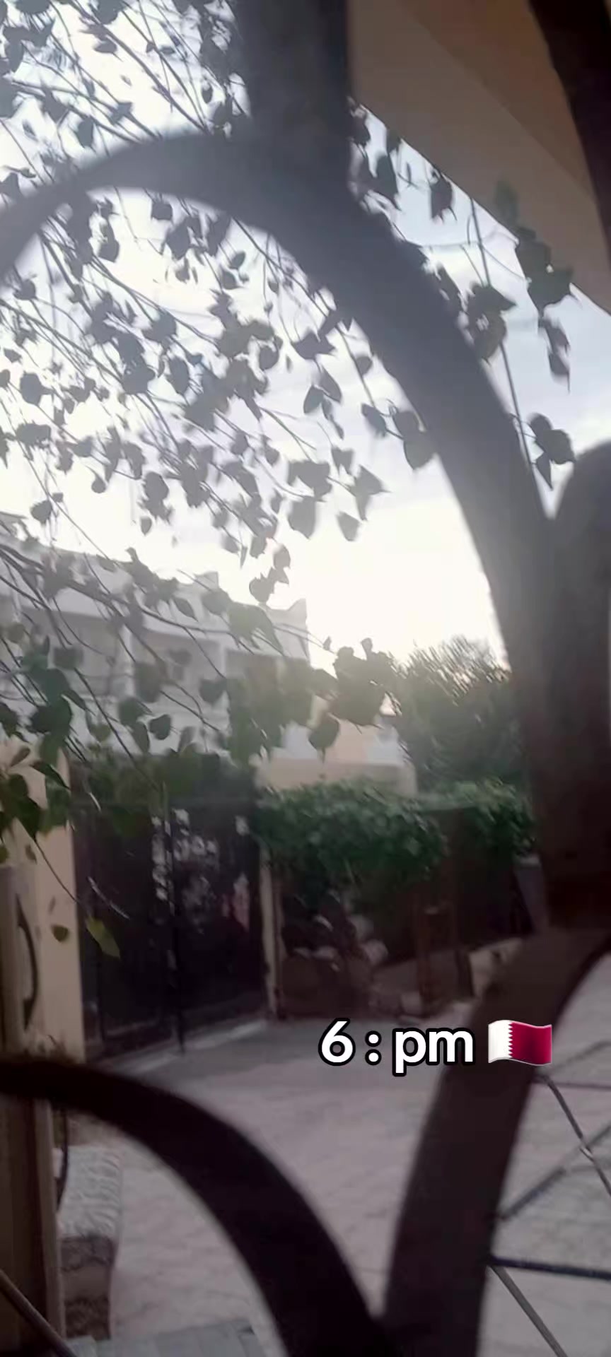@Dilmini Dilhara🇶🇦