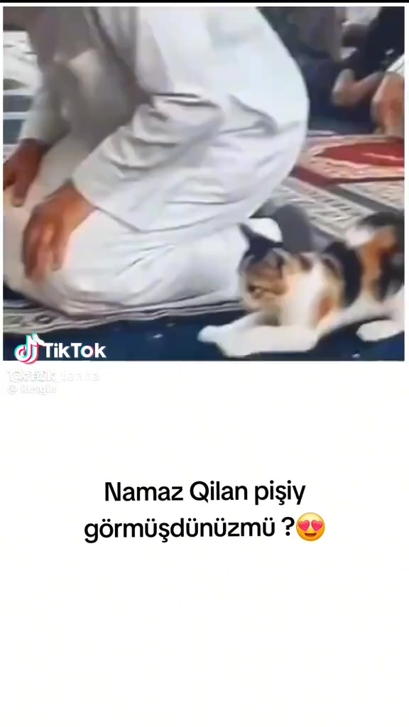@Mahir.ay.brat
