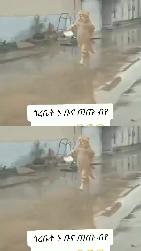 @ሰሚራ ጀማል