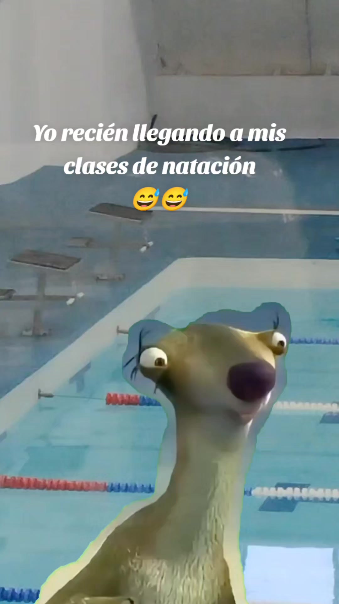 @😻 Estela 😻