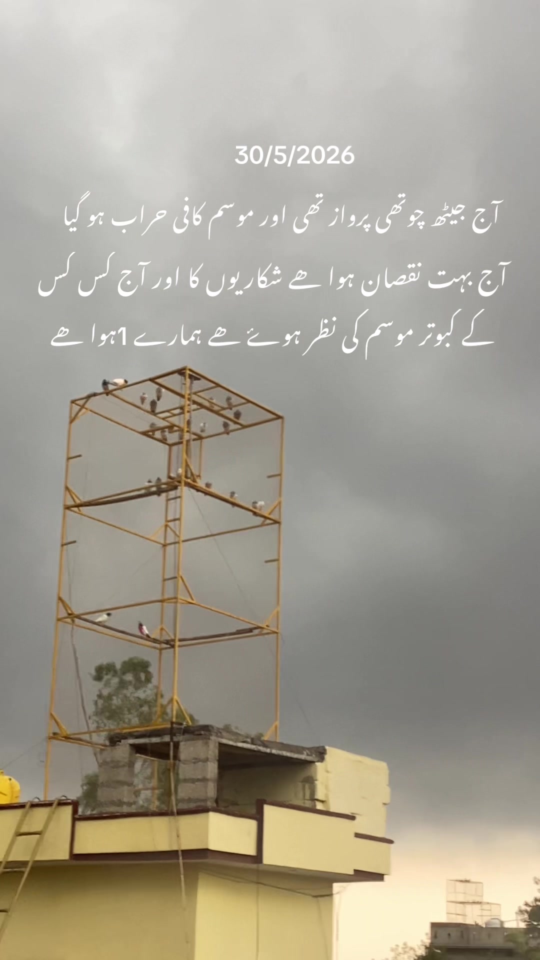 @hassnani68