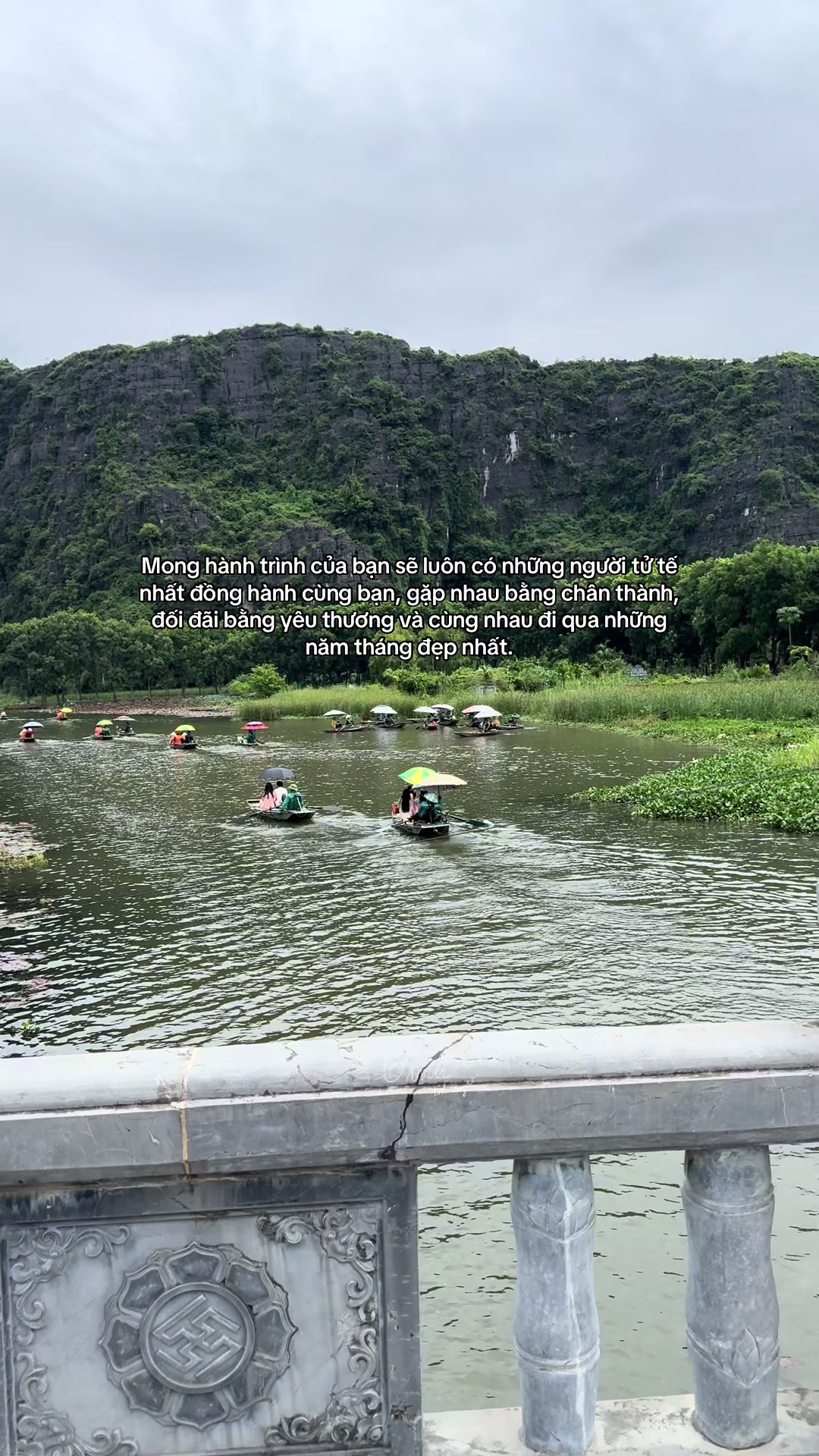 @Reels của Tình 🫧