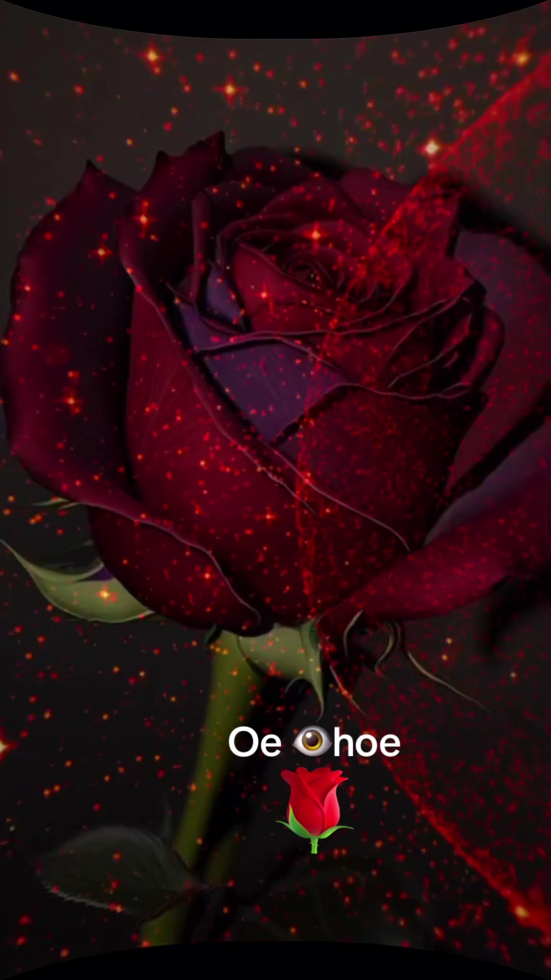 @Tajkour