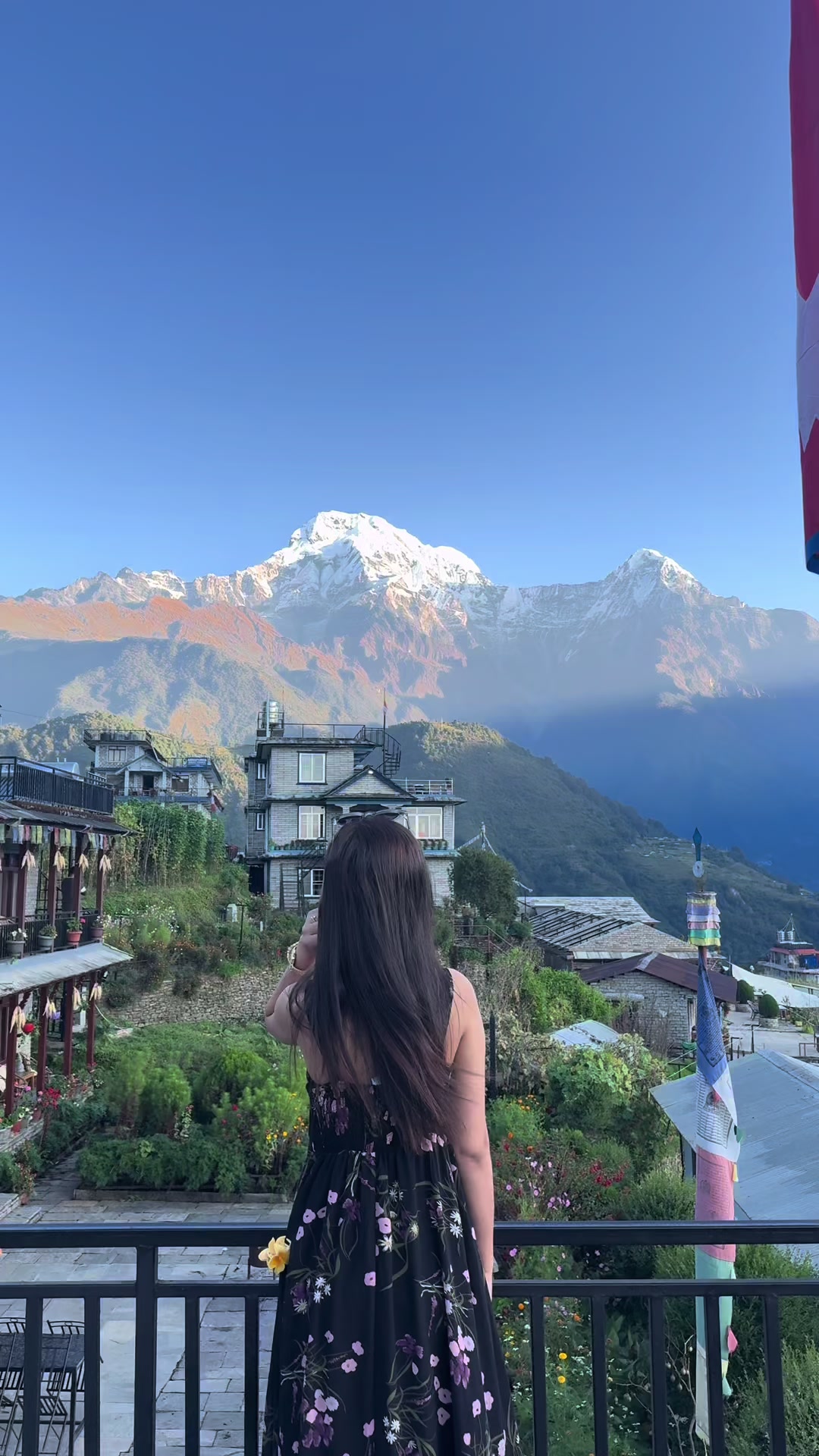@Krisha Bhandari