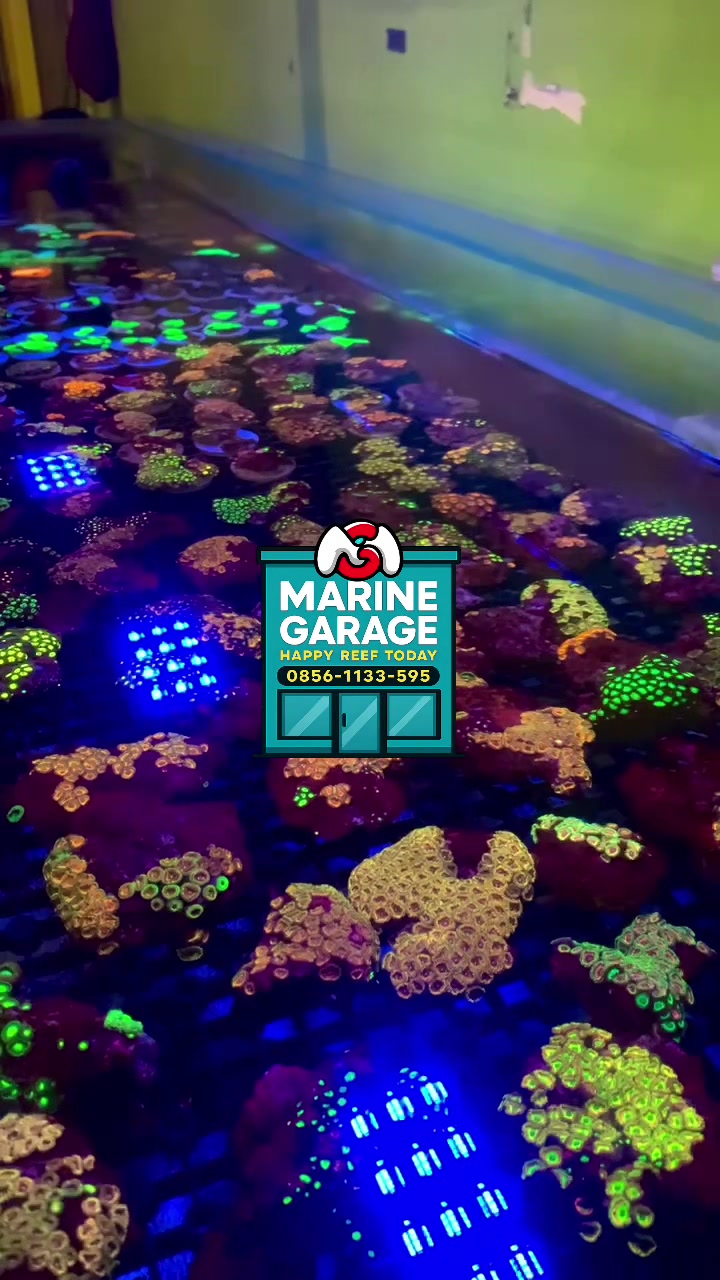 @Marine Garage