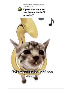 @Maestro_Tuba1